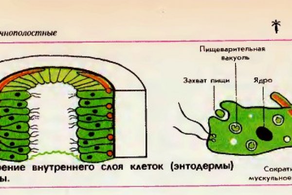 Замена hydra