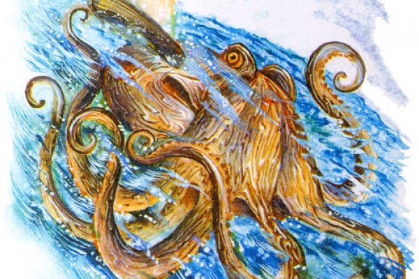 Kraken 13 at сайт