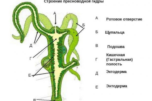 Кракен это сайт что продают