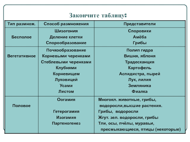 Вывести деньги с кракена