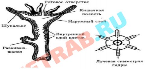 Кракен регистрация