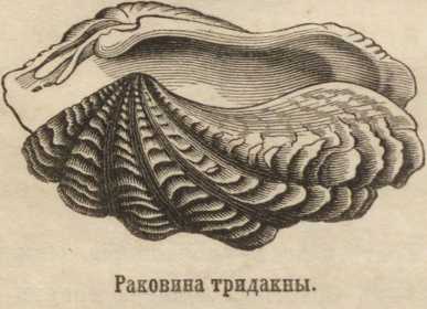 Как выводить деньги с кракена